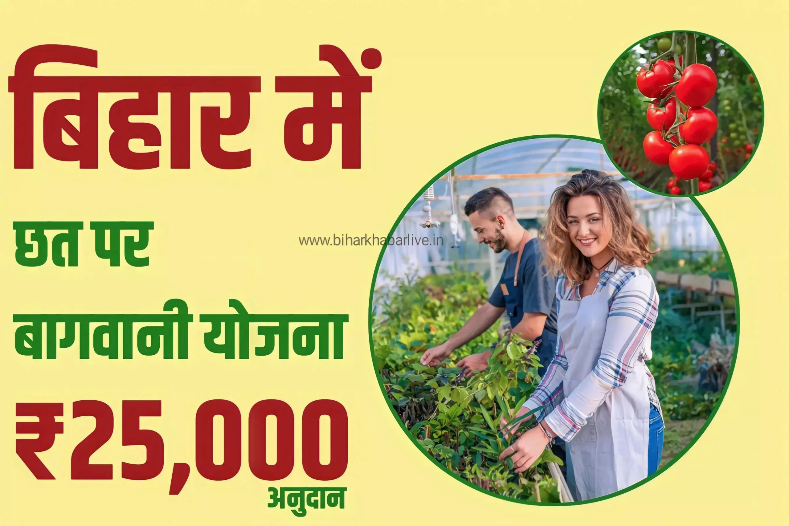 Bihar Rooftop Gardening